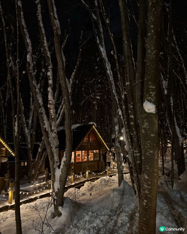 北海道精靈露台！🌲❄️ 手作控必去！🤩