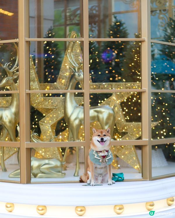 愉景灣 北  聖誕燈飾好靚 日與夜