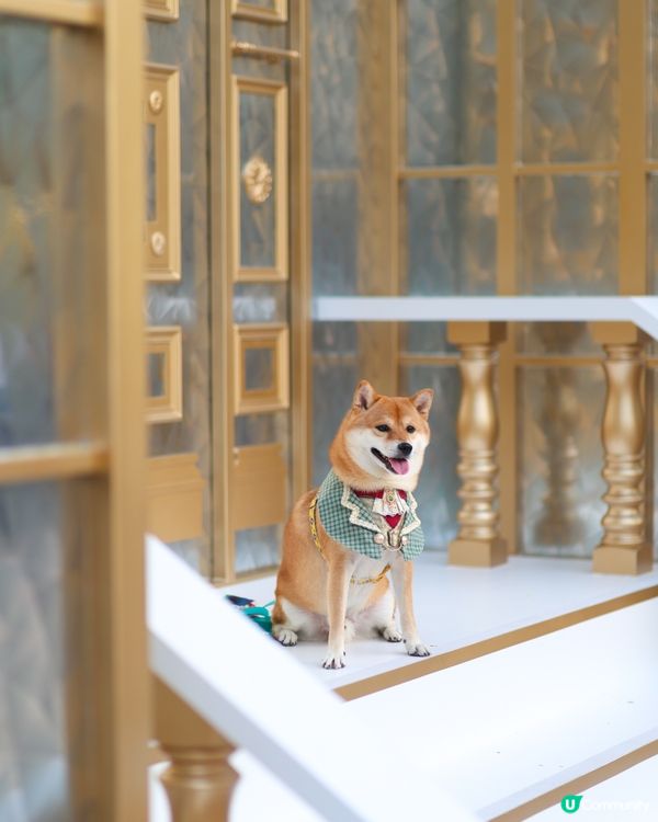 愉景灣 北  聖誕燈飾好靚 日與夜