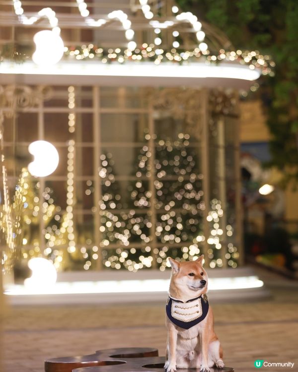 愉景灣 北  聖誕燈飾好靚 日與夜