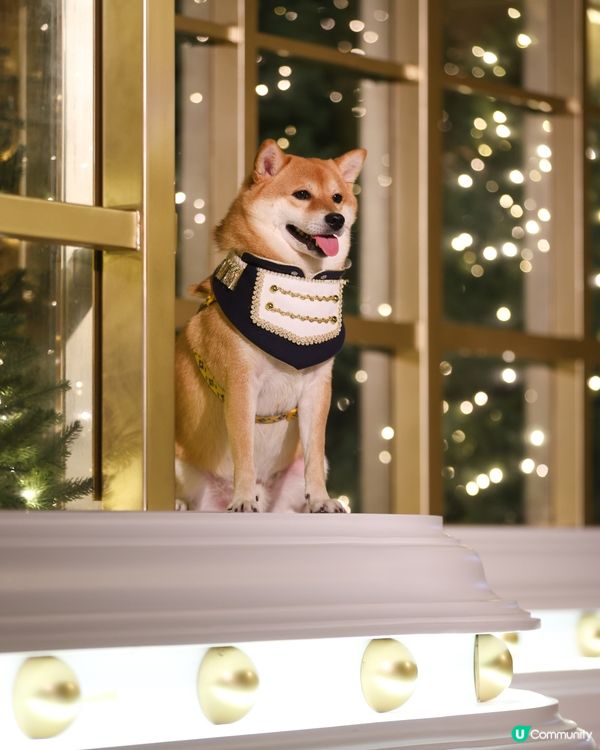 愉景灣 北  聖誕燈飾好靚 日與夜