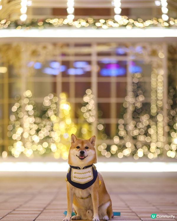 愉景灣 北  聖誕燈飾好靚 日與夜