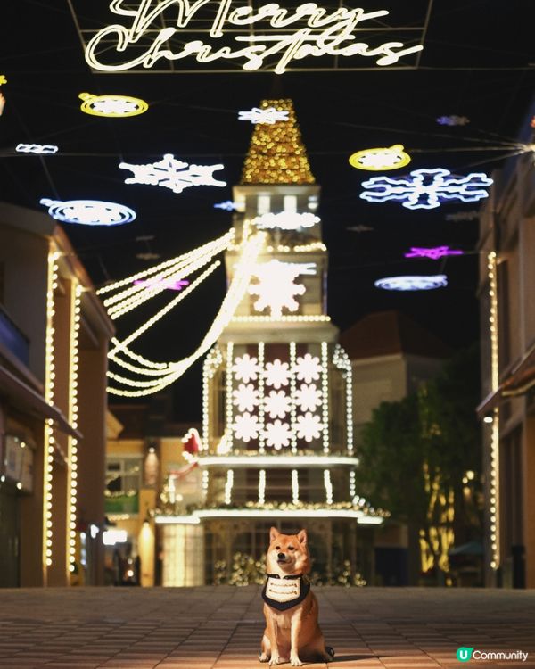 愉景灣 北  聖誕燈飾好靚 日與夜