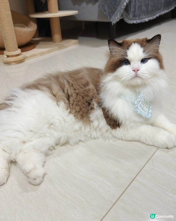 冬日韓劇女主腳😽