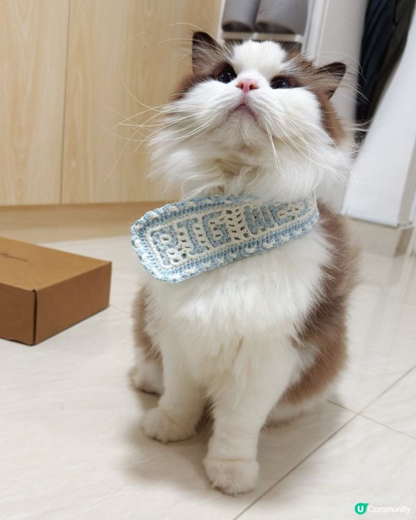 冬日韓劇女主腳😽