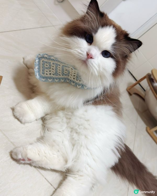 冬日韓劇女主腳😽
