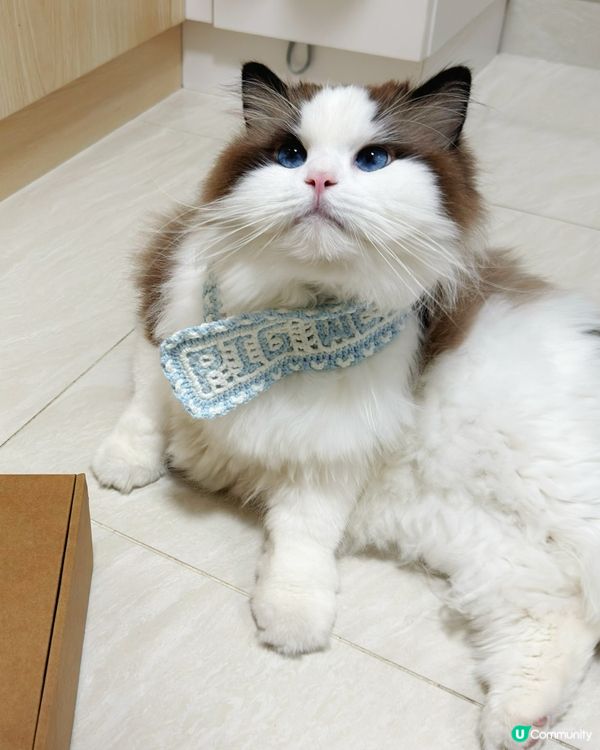 冬日韓劇女主腳😽