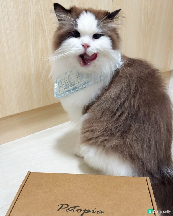 冬日韓劇女主腳😽