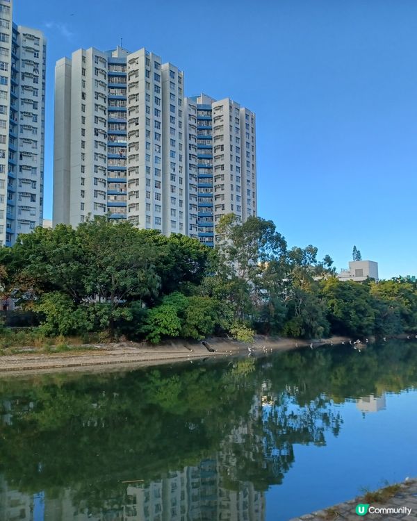 飲茶體驗超正！😋 88折+貼心服務！💯