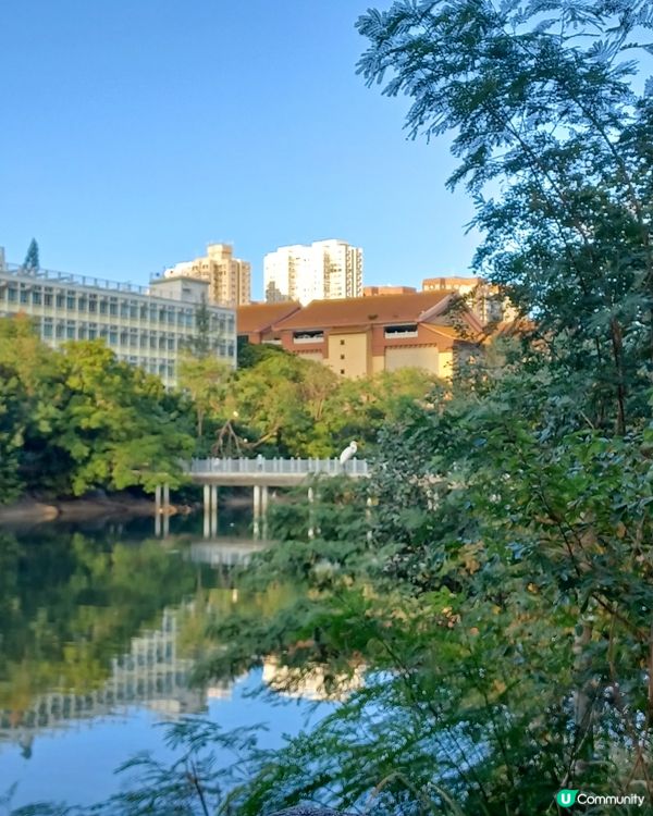飲茶體驗超正！😋 88折+貼心服務！💯
