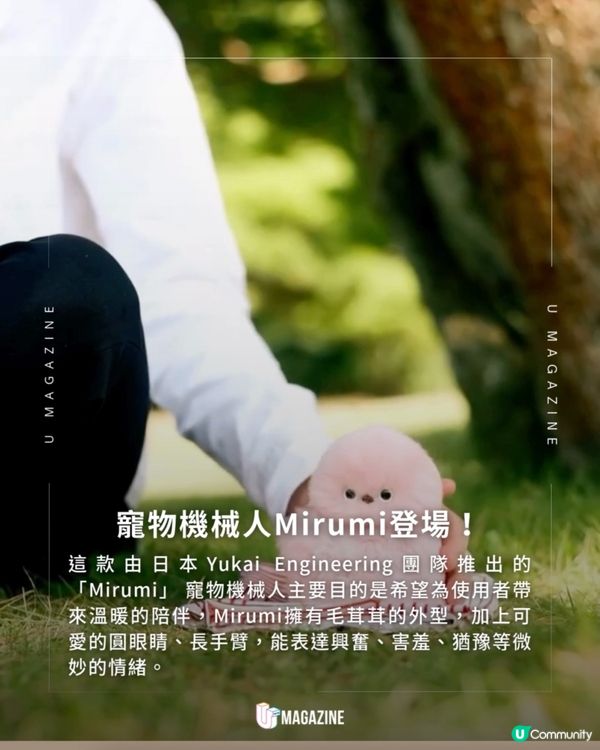日本「Charm Robot」Mirumi 登場！神還原寵物的溫暖陪伴！