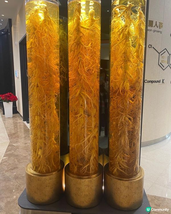 南韓內藏山欣赏紅葉美景，又參觀人蔘專門店及瞓榻榻米，一世難忘