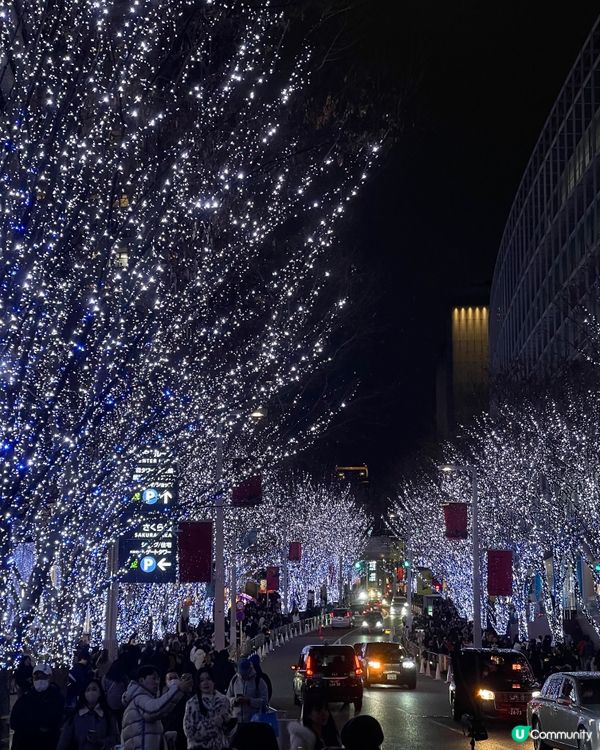🇯🇵東京六本木最美聖誕限定亮燈✨