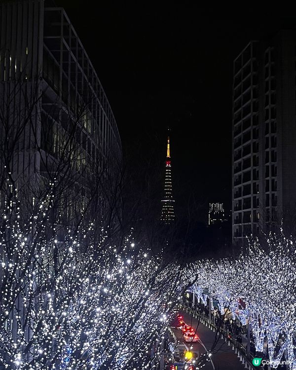 🇯🇵東京六本木最美聖誕限定亮燈✨
