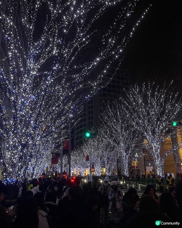 🇯🇵東京六本木最美聖誕限定亮燈✨
