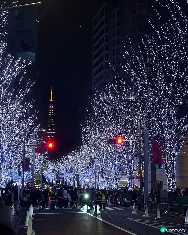 🇯🇵東京六本木最美聖誕限定亮燈✨