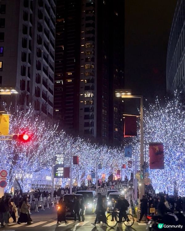 🇯🇵東京六本木最美聖誕限定亮燈✨