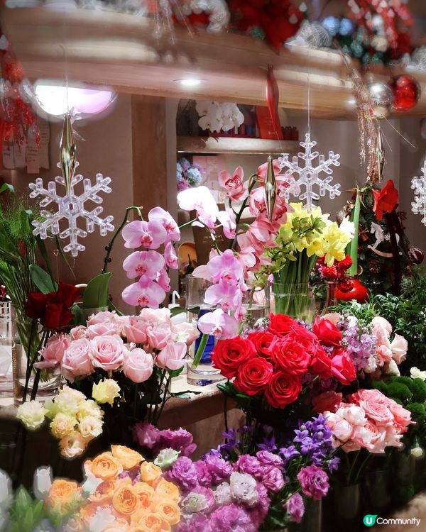 花廚聖誕大餐！花海中嘅幸福🥰🎄