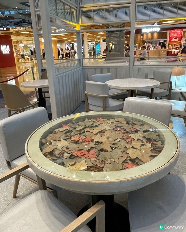 環境一流！打卡必去嘅餐廳📸😋