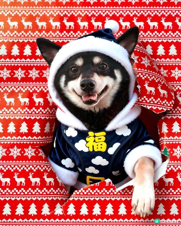 聖誕🎄快樂🎉