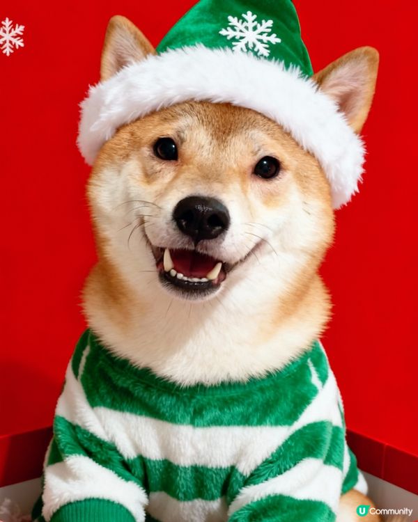 Muji祝大家聖誕🧑🏻‍🎄🎄快樂