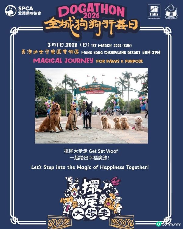 愛協全城狗狗行善日推廣動物福利