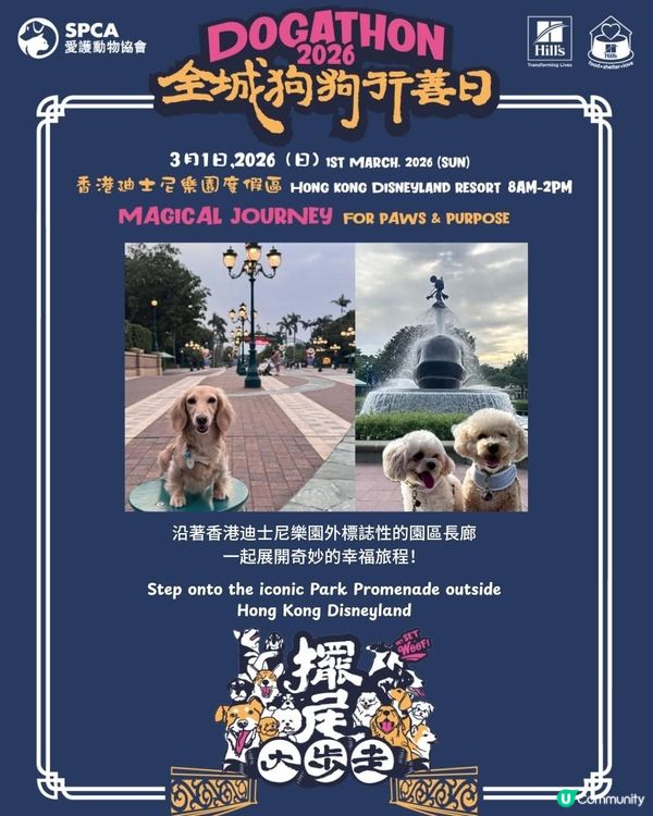 愛協全城狗狗行善日推廣動物福利