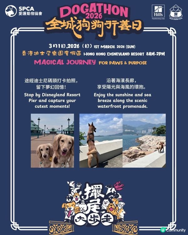 愛協全城狗狗行善日推廣動物福利