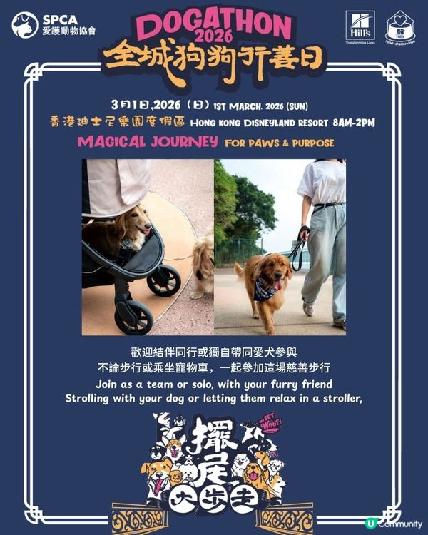 愛協全城狗狗行善日推廣動物福利