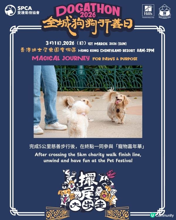 愛協全城狗狗行善日推廣動物福利