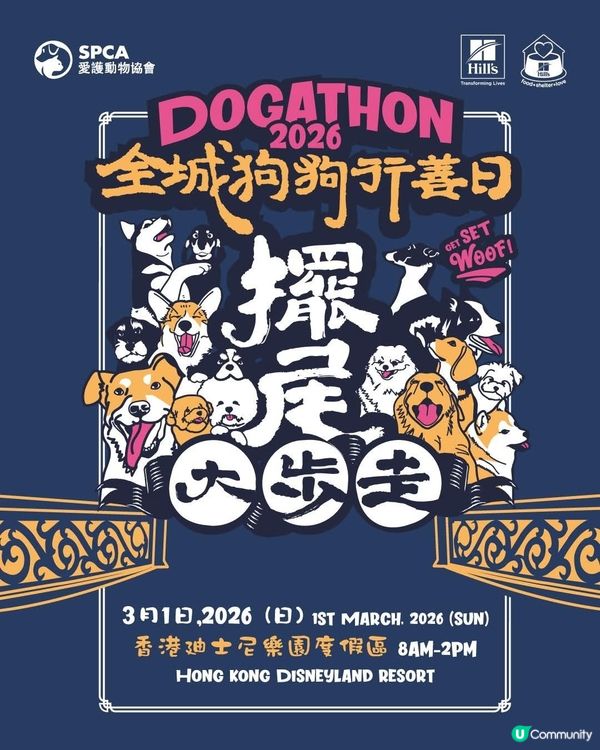 愛協全城狗狗行善日推廣動物福利