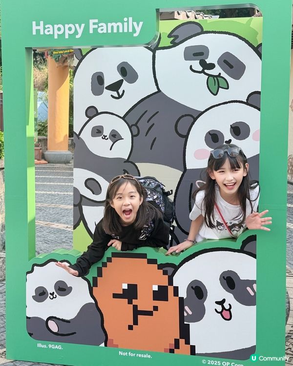 🐼❄️薯仔迷衝海洋公園