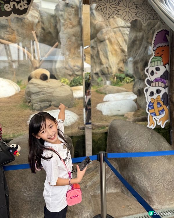 🐼❄️薯仔迷衝海洋公園