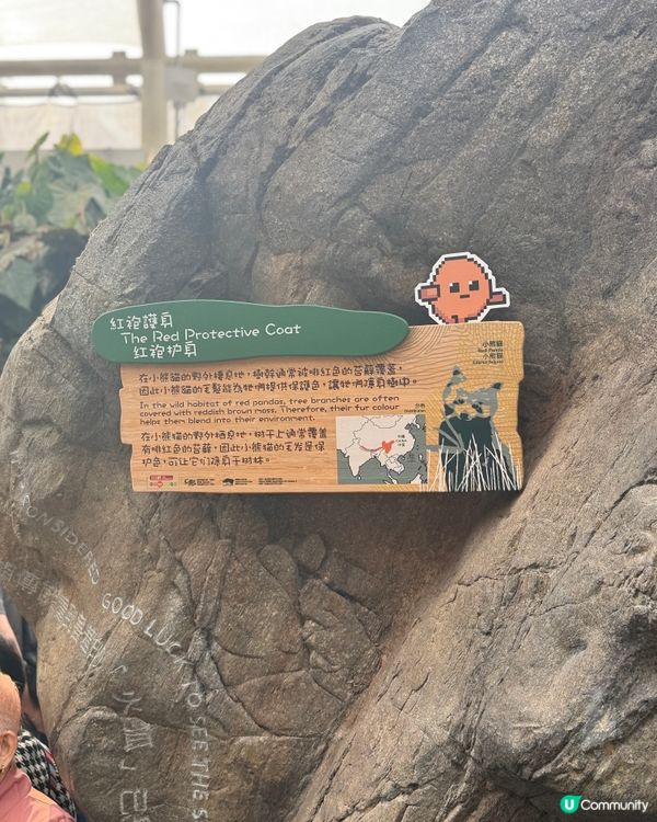 🐼❄️薯仔迷衝海洋公園