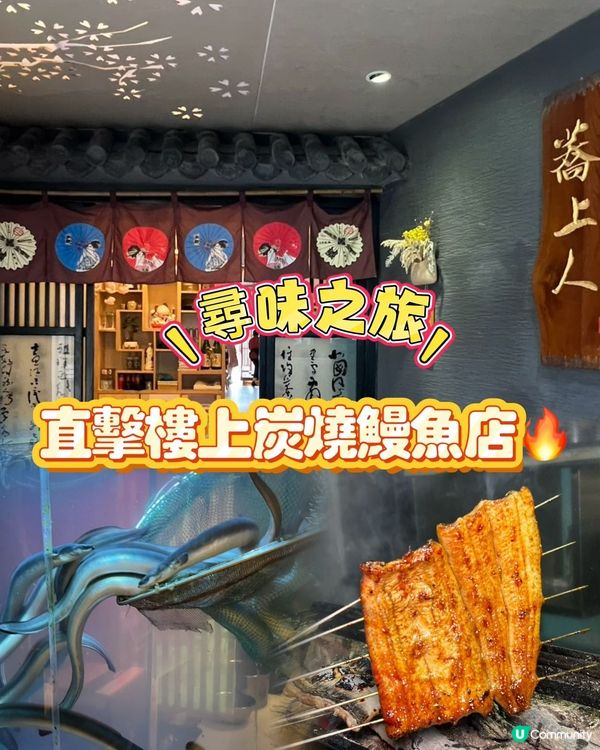 尋味之旅！樓上炭燒鰻魚😋！