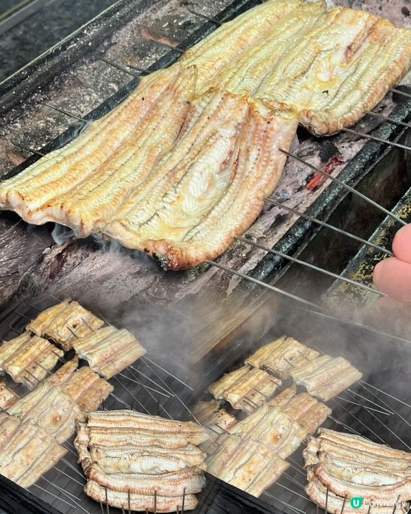 尋味之旅！樓上炭燒鰻魚😋！