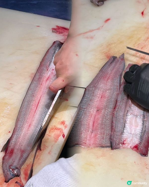 尋味之旅！樓上炭燒鰻魚😋！