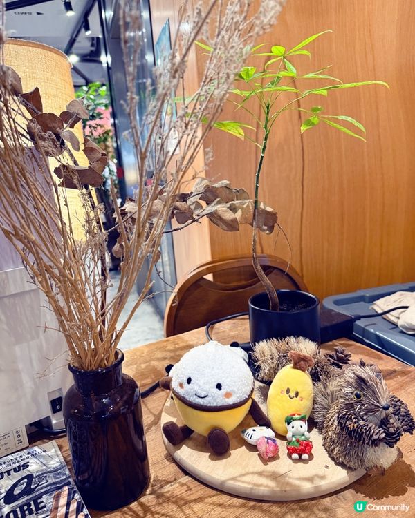 1.  文青木系餐廳🤤！必試手工意粉🍝+巴斯克蛋糕🍰！