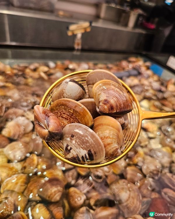 爆場海鮮放題！🦀🦐 撈到你手軟！🤤