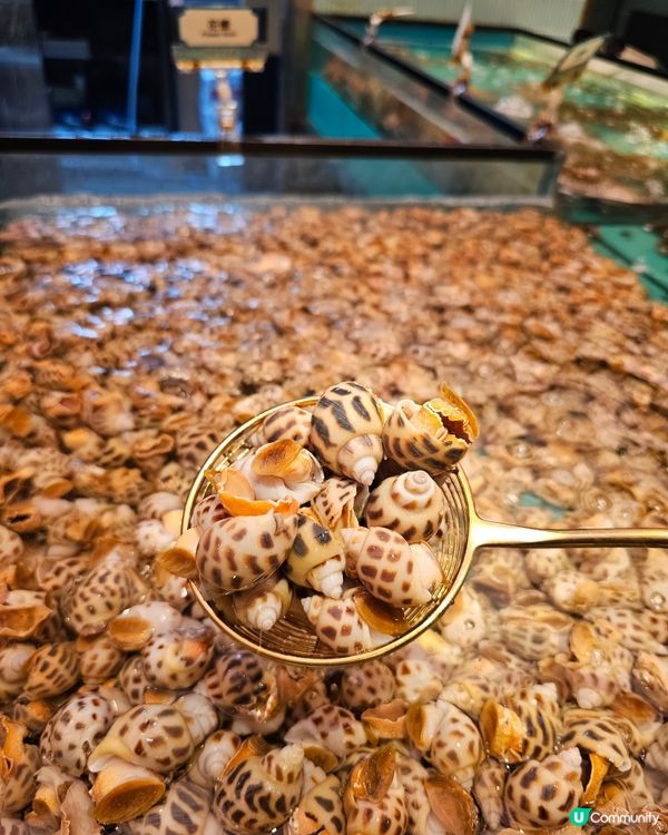 爆場海鮮放題！🦀🦐 撈到你手軟！🤤