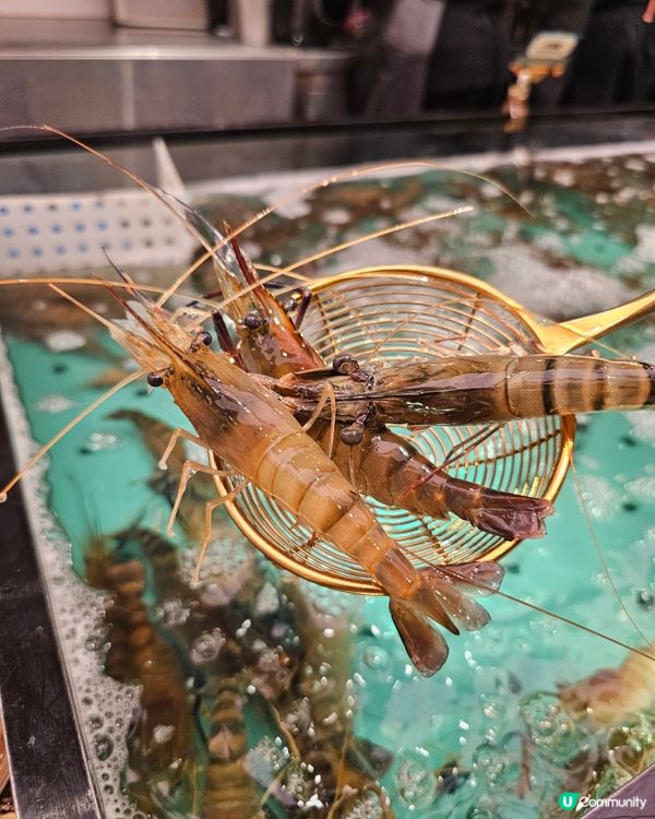 爆場海鮮放題！🦀🦐 撈到你手軟！🤤