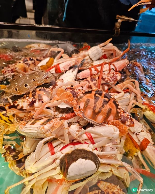 爆場海鮮放題！🦀🦐 撈到你手軟！🤤