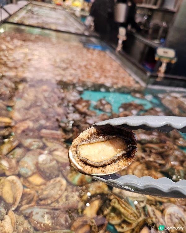 爆場海鮮放題！🦀🦐 撈到你手軟！🤤