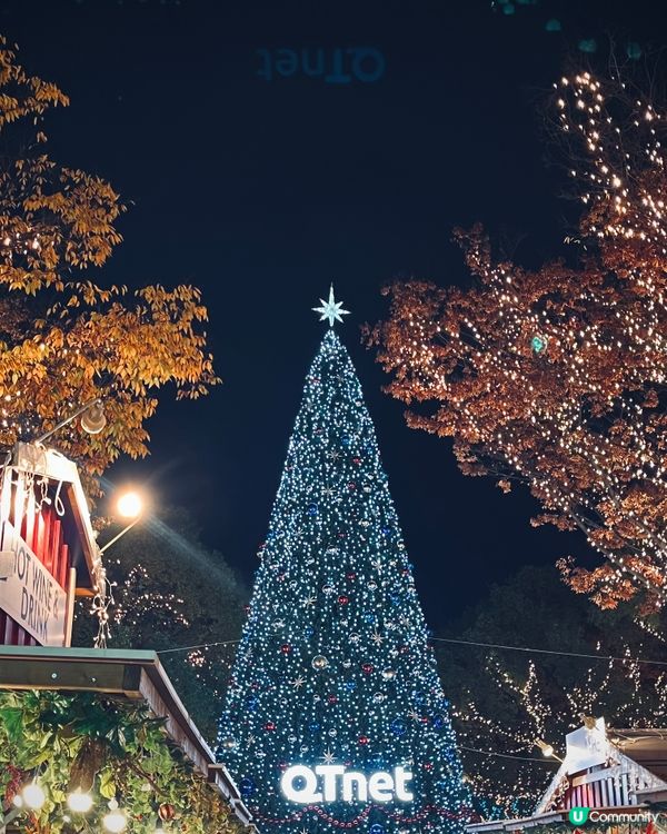 福岡聖誕市集🎄光之森林勁夢幻✨