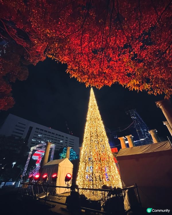 福岡聖誕市集🎄光之森林勁夢幻✨