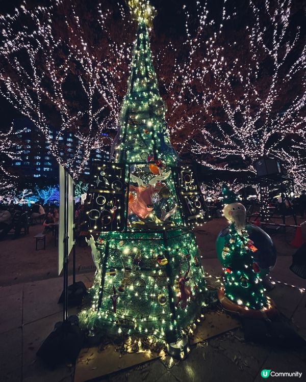 福岡聖誕市集🎄光之森林勁夢幻✨
