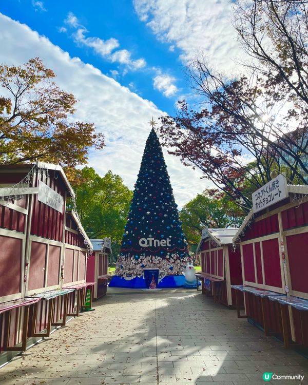 福岡聖誕市集🎄光之森林勁夢幻✨