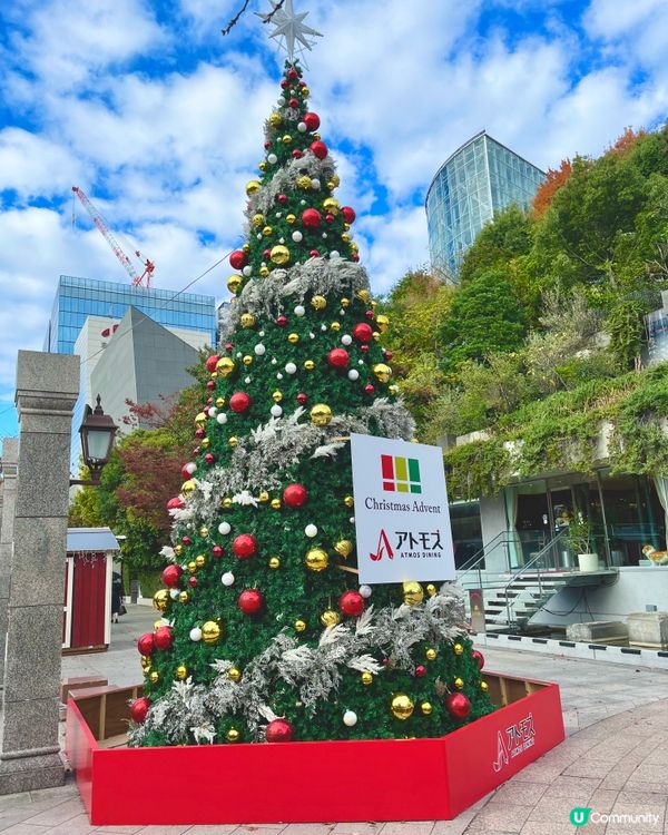 福岡聖誕市集🎄光之森林勁夢幻✨
