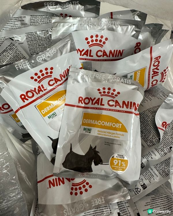 🐶💖 香港寵物店真心推薦