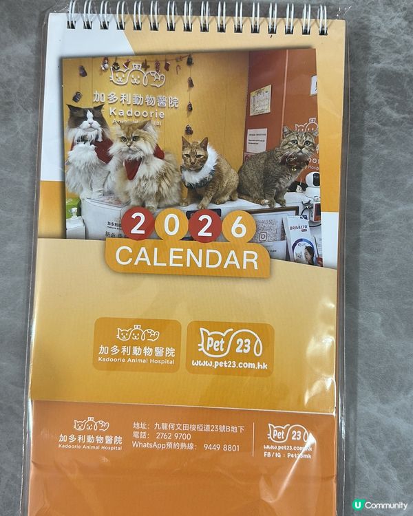 🐶💖 香港寵物店真心推薦